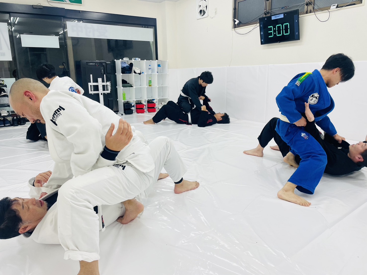 柔道、柔術のトレーニングにおすすめです やりすぎ柔術都市伝説1 | トライフォース柔術アカデミー Tri-force BJJ